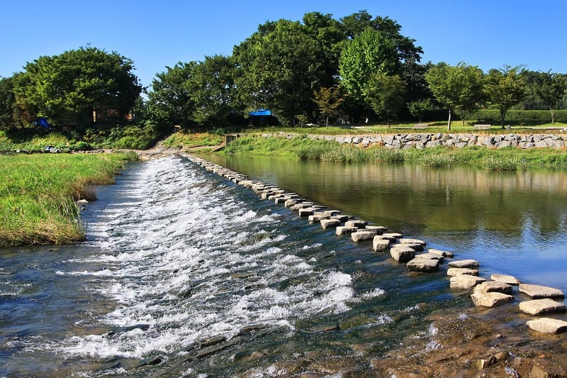 Stepping Stone Trail